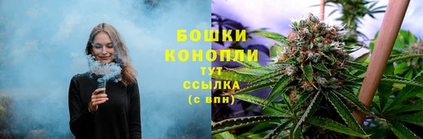 PSILOCYBIN Бугульма