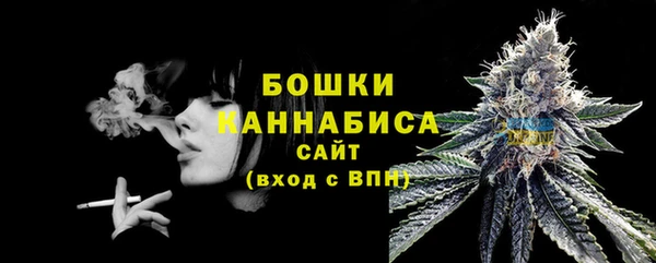 PSILOCYBIN Бугульма