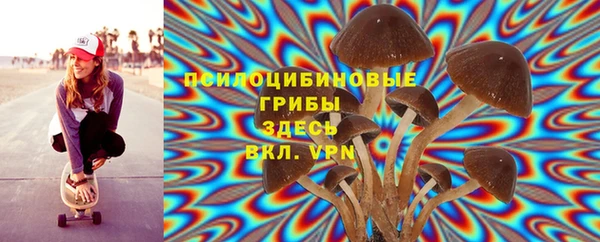 PSILOCYBIN Бугульма